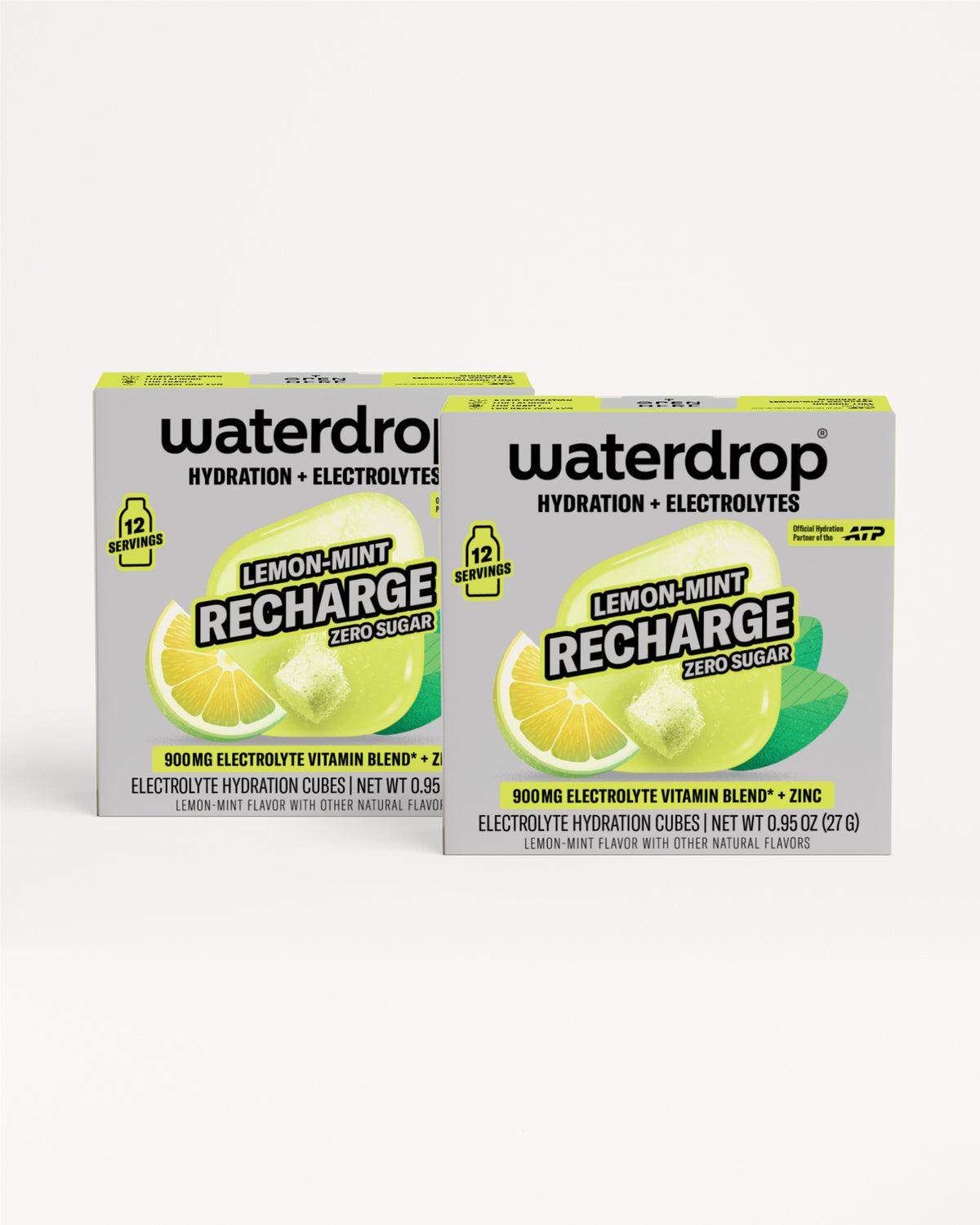 Microlyte RECHARGE Twin Pack