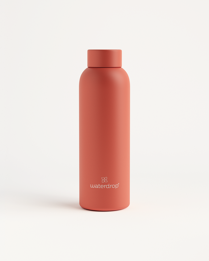 Thermo Steel Bottle · Metal Cap