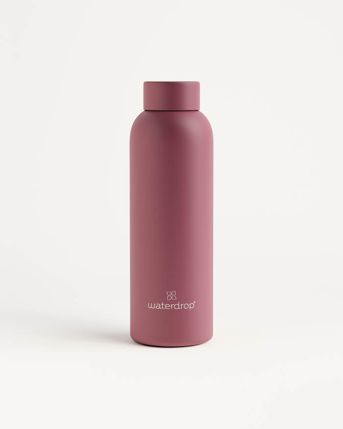 Thermo Steel Bottle · Metal Cap