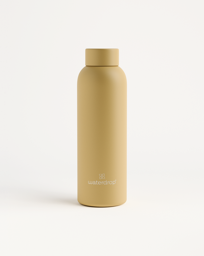 Thermo Steel Bottle · Metal Cap