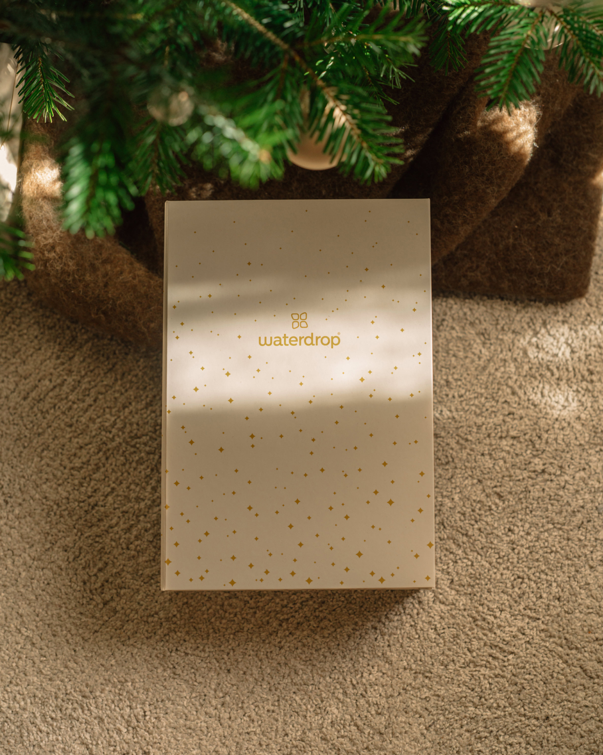 Feeling Festive Set