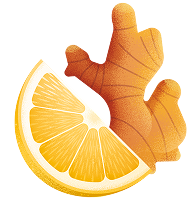 Illustration of a ginger root with an orange slice.