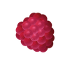 BERRY RECHARGE