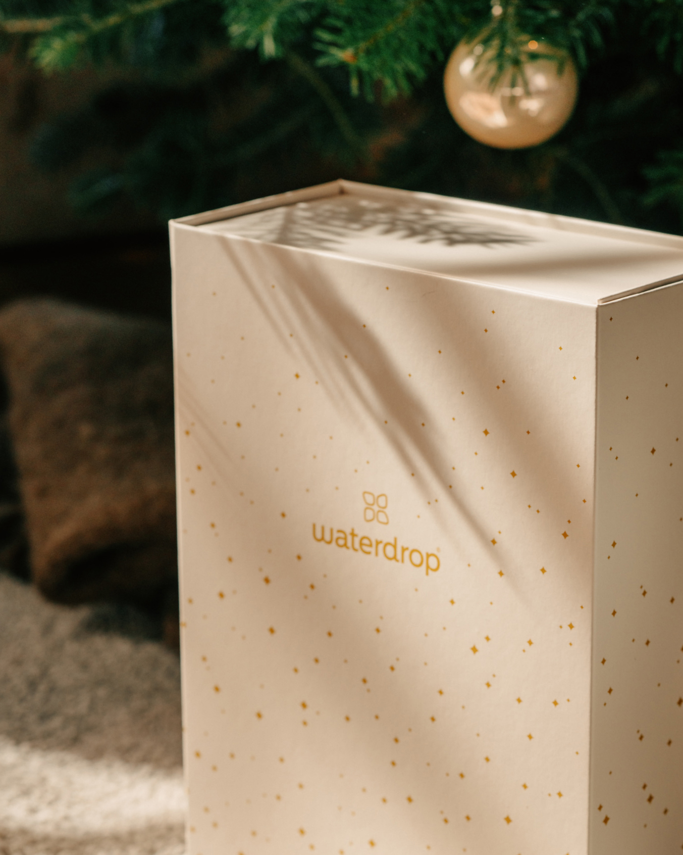 Christmas Gift Box (Reward)