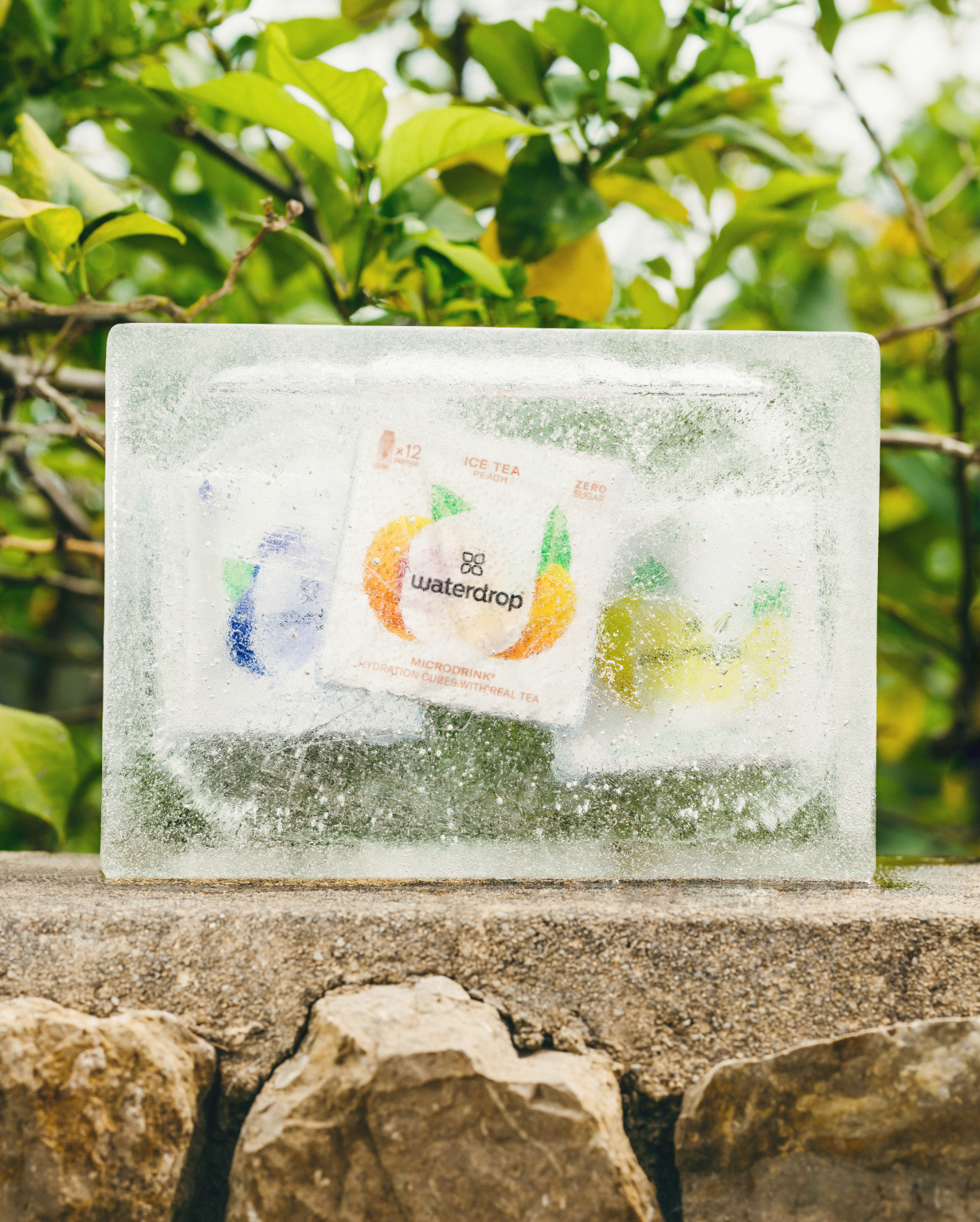 ICED TEA Twin Pack