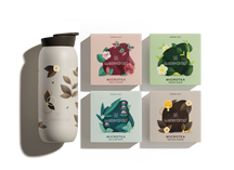 Starter Set Edition Microtea